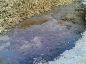 25 Signs That America Is A Seething Cesspool Of Filth And Corruption