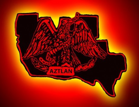 aztlan rabbit