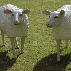 Sheep Sculpture Photo By Wouter Hagens