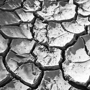 Drought - Photo by Bert Kaufmann