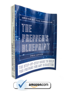 The Preppers Blueprint End Of The American Dream