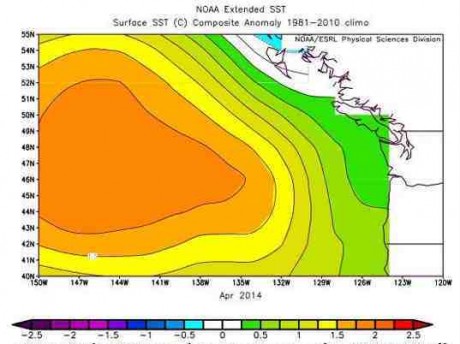 Pacific Ocean Anomaly