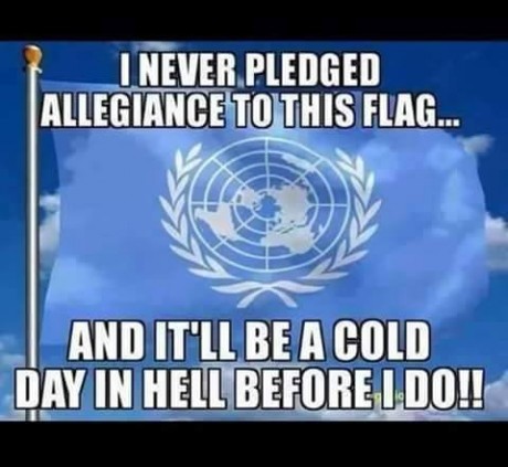 I Never Pledged Allegiance To This Flag