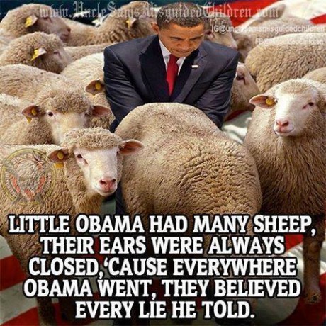 Obama And His Sheep - from Facebook