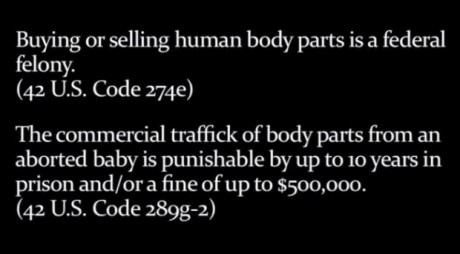 Selling Human Body Parts - YouTube screenshot