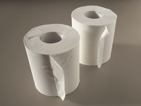 Toilet Paper - Public Domain