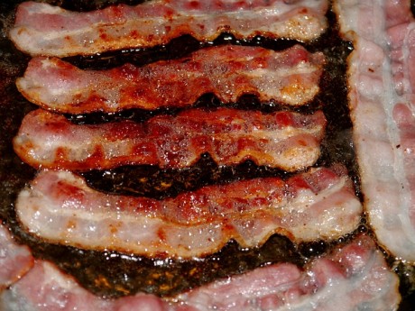Bacon - Public Domain