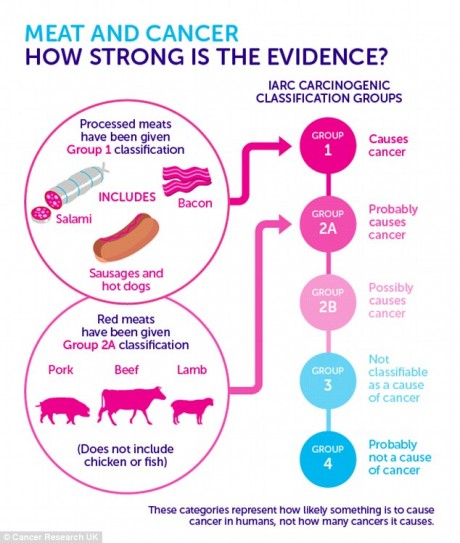Meat Causes Cancer - Cancer Research UK