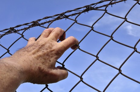 Barbed Wire - Public Domain