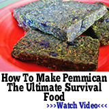How To Make Pemmican